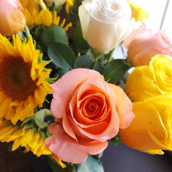 Meet your Posher, Brittney - Picture 1 of 1